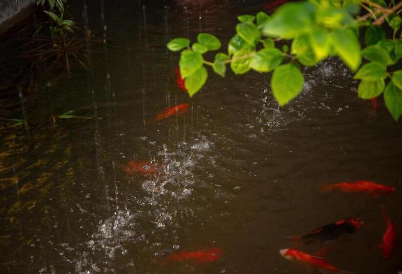 تختخواب در اتاق مشترک, Tam Coc Brothers Homestay   Ninh Bình