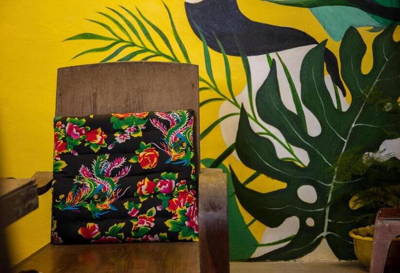 تختخواب در اتاق مشترک, Tam Coc Brothers Homestay   Ninh Bình