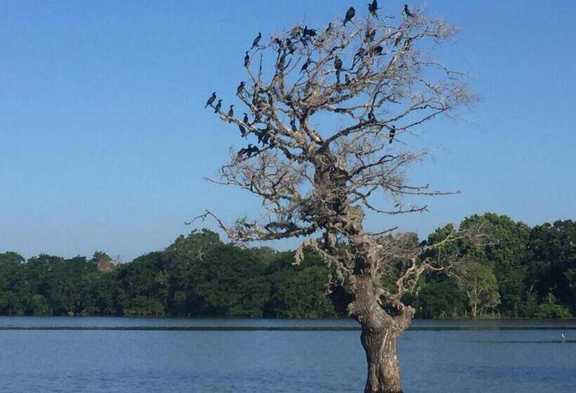 Quarto Estandar, Saffron Lake Yala