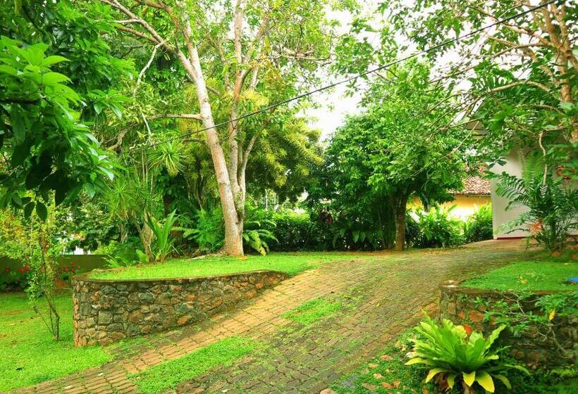 Quarto Economy, Galle Rest Home