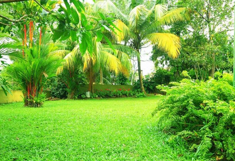 Quarto Economy, Galle Rest Home