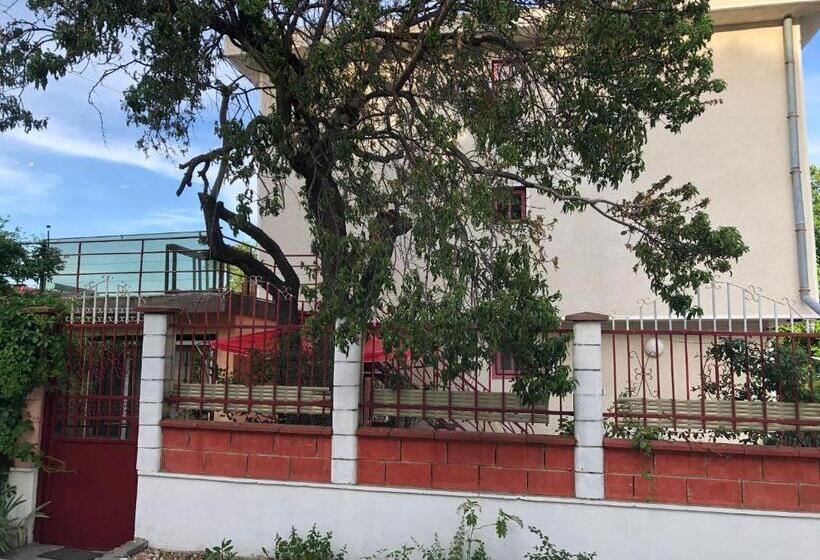اتاق خانوادگی, Surf House Villa Rose I Po3a L