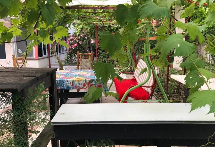آپارتمان 1 خوابه با چشم‌انداز باغ, Surf House Villa Rose I Po3a L