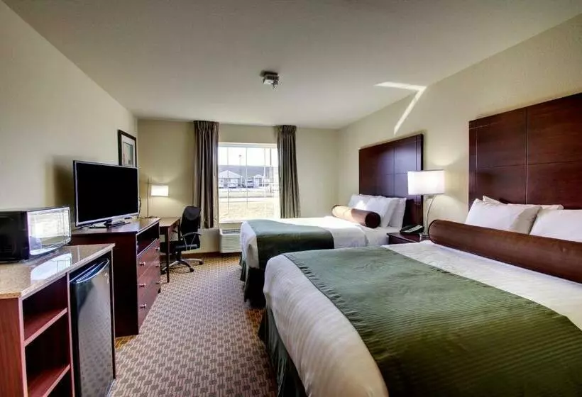 Standard-invahuone, Cobblestone Hotel & Suites Newton