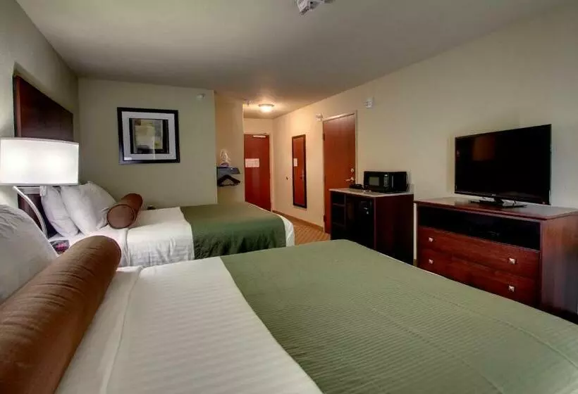 Standard-invahuone, Cobblestone Hotel & Suites Newton