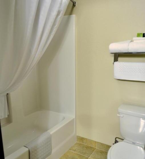 חדר סטנדרט, Cobblestone Inn & Suites  Lake View