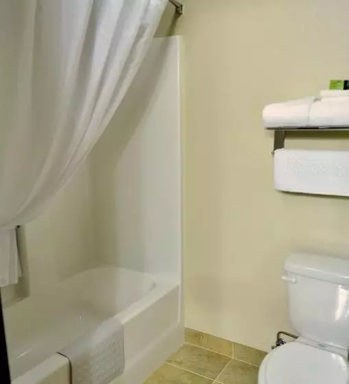 キングサイズベッドのスイートルーム, Cobblestone Inn & Suites  Lake View