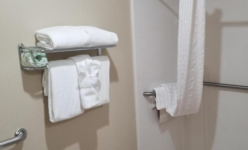 חדר סטנדרט, מיטת קינג, מותאם לאדם עם מוגבלויות, Cobblestone Inn & Suites  Lake View