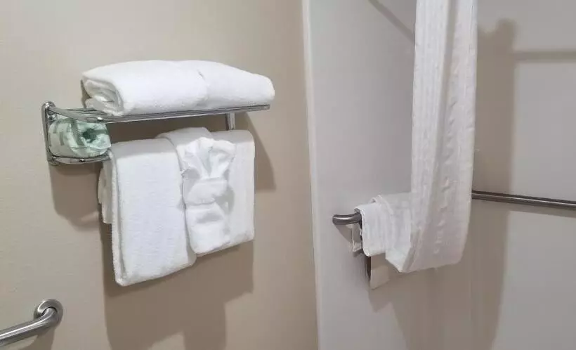 身障者適用キングサイズベッドルーム, Cobblestone Inn & Suites  Lake View