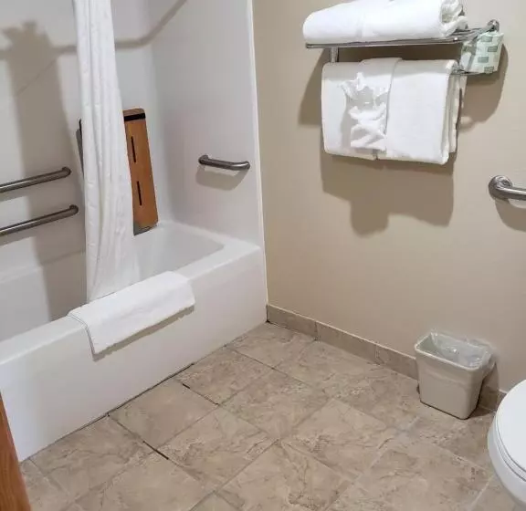 身障者適用キングサイズベッドルーム, Cobblestone Inn & Suites  Lake View
