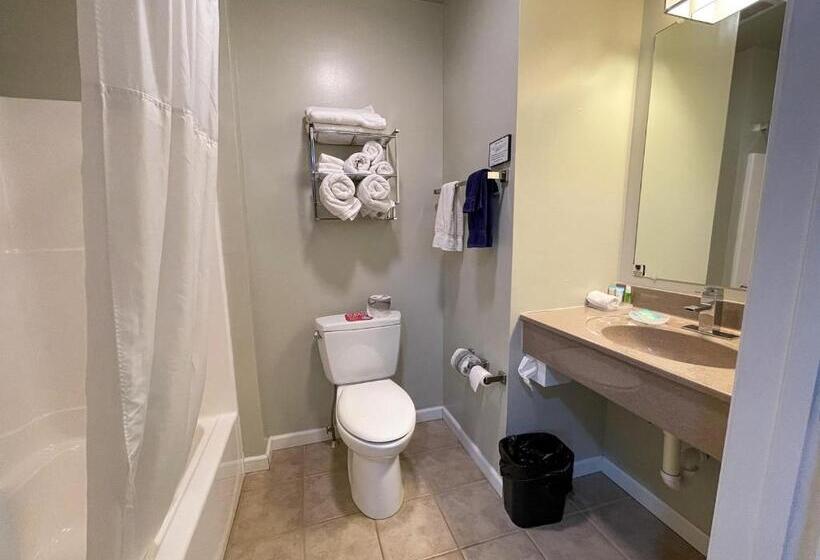 Standard Szoba, Dushore