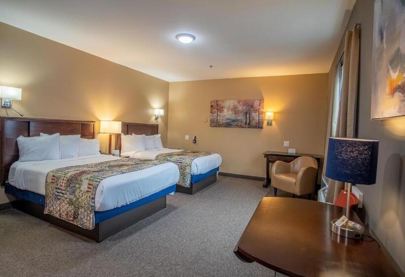 Standard Szoba, Dushore