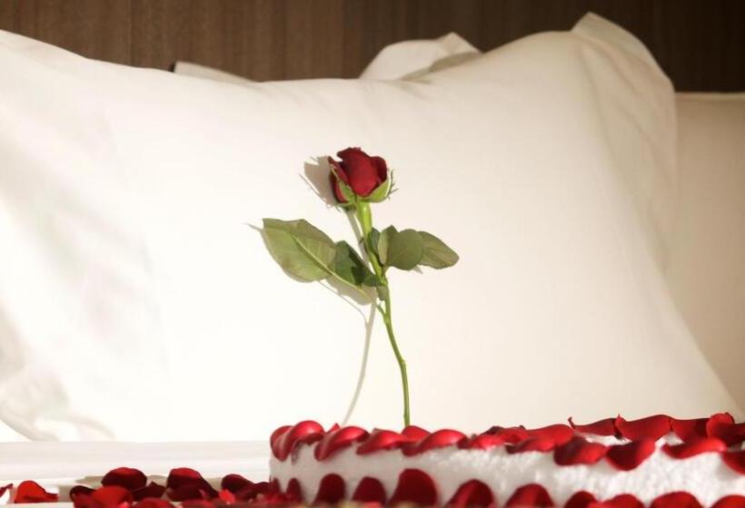 سوییت اجرایی, Elilly International