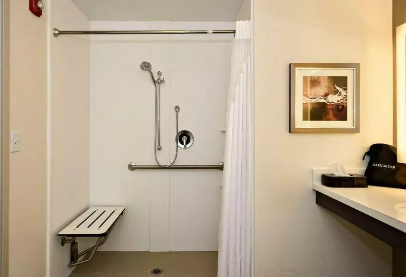 اتاق استاندارد با تخت بزرگ برای معلولان, Holiday Inn St. George Convention Center, An Ihg