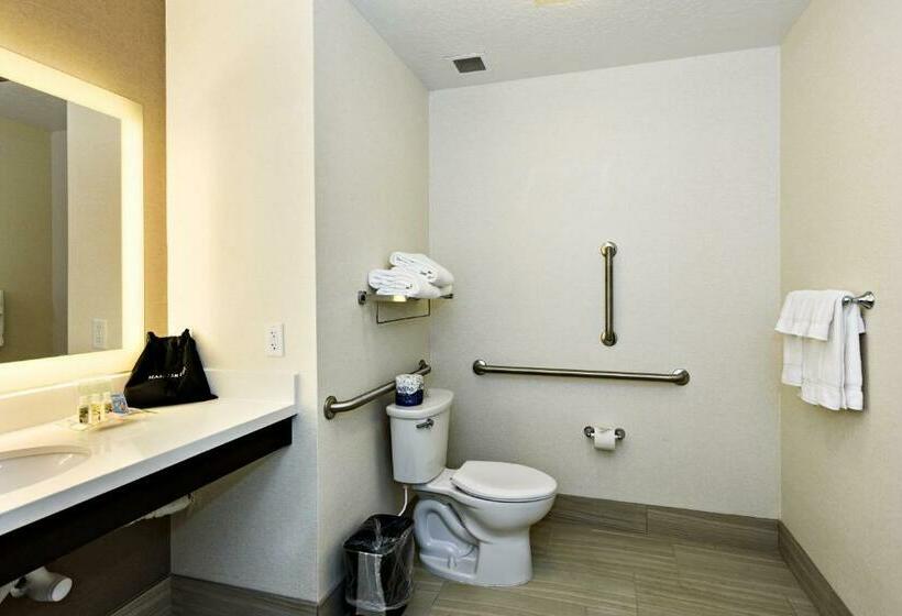 غرفة قياسية لذوى الاحتياجات الخاصة, Holiday Inn St. George Convention Center, An Ihg