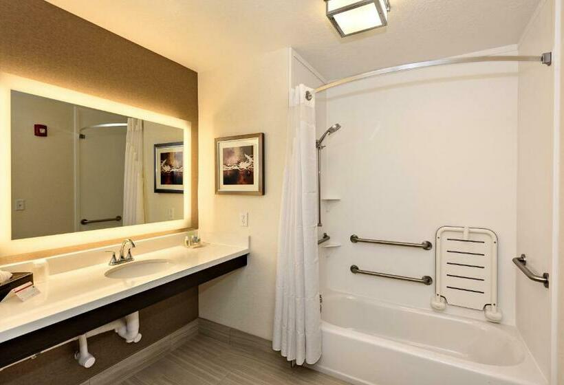 غرفة قياسية لذوى الاحتياجات الخاصة, Holiday Inn St. George Convention Center, An Ihg