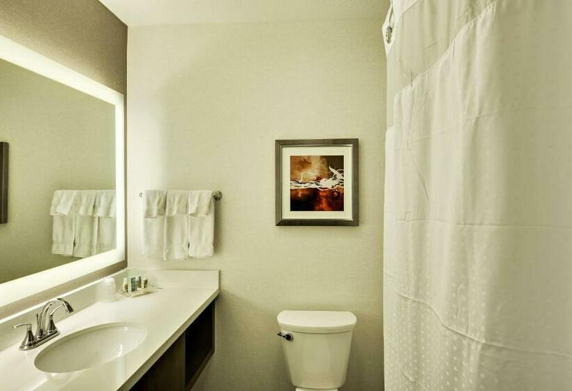 غرفة قياسية سرير كينج, Holiday Inn St. George Convention Center, An Ihg