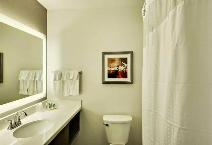 اتاق استاندارد با تخت بزرگ, Holiday Inn St. George Convention Center, An Ihg