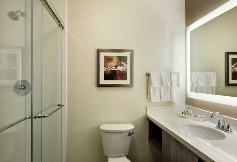 غرفة قياسية سرير كينج, Holiday Inn St. George Convention Center, An Ihg