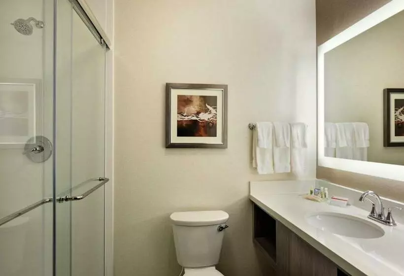 اتاق استاندارد با تخت بزرگ, Holiday Inn St. George Convention Center, An Ihg