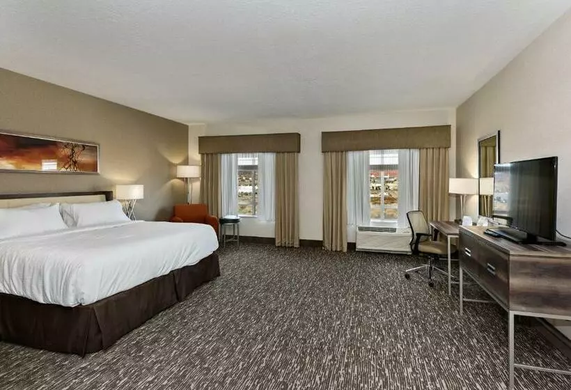 اتاق استاندارد با تخت بزرگ برای معلولان, Holiday Inn St. George Convention Center, An Ihg