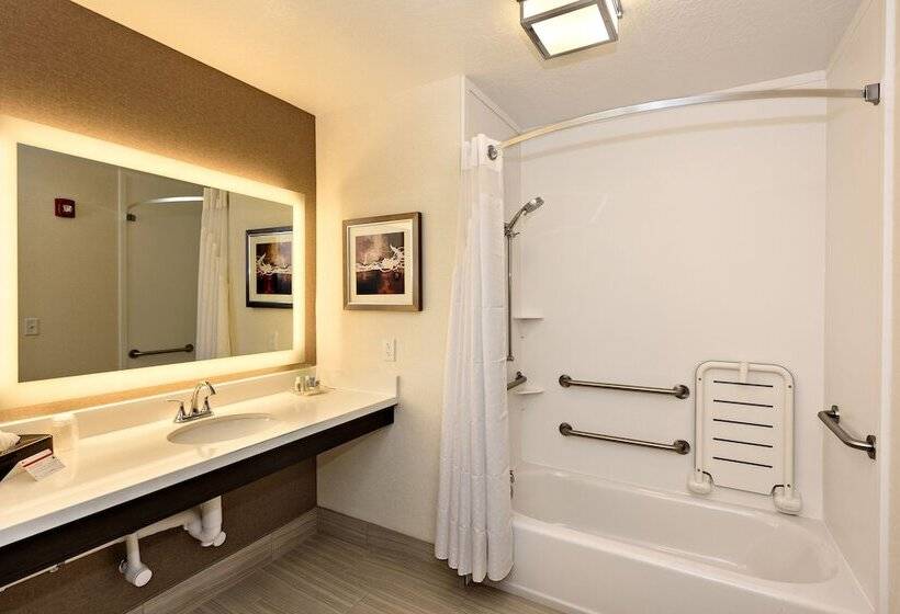 غرفة قياسية لذوى الاحتياجات الخاصة, Holiday Inn St. George Convention Center, An Ihg