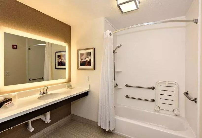 اتاق استاندارد برای معلولان, Holiday Inn St. George Convention Center, An Ihg