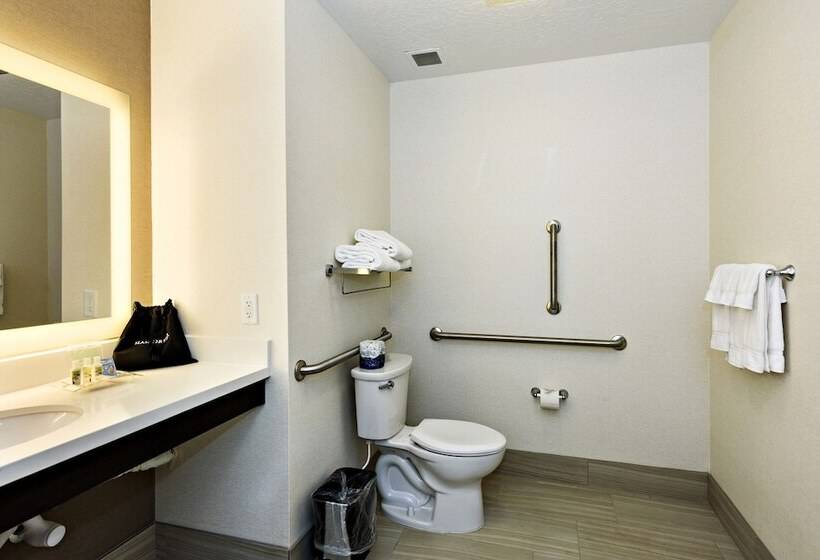 غرفة قياسية لذوى الاحتياجات الخاصة, Holiday Inn St. George Convention Center, An Ihg