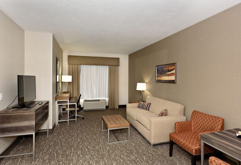 جناح لذوى الاحتياجات الخاصة, Holiday Inn St. George Convention Center, An Ihg