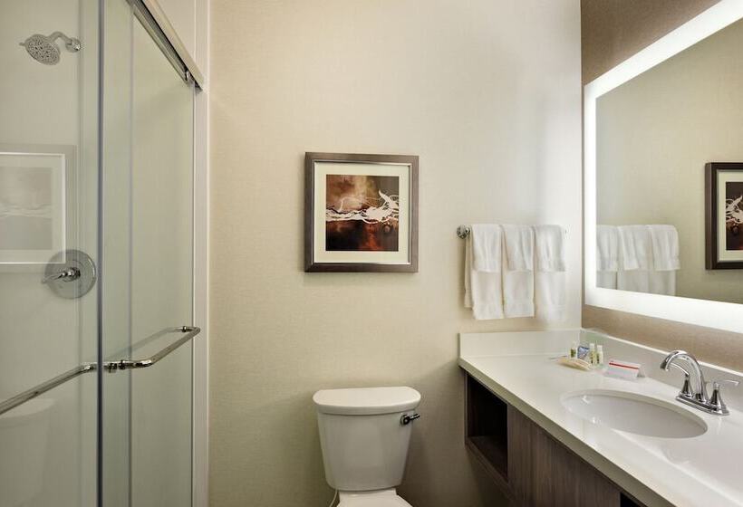 جناح لذوى الاحتياجات الخاصة, Holiday Inn St. George Convention Center, An Ihg