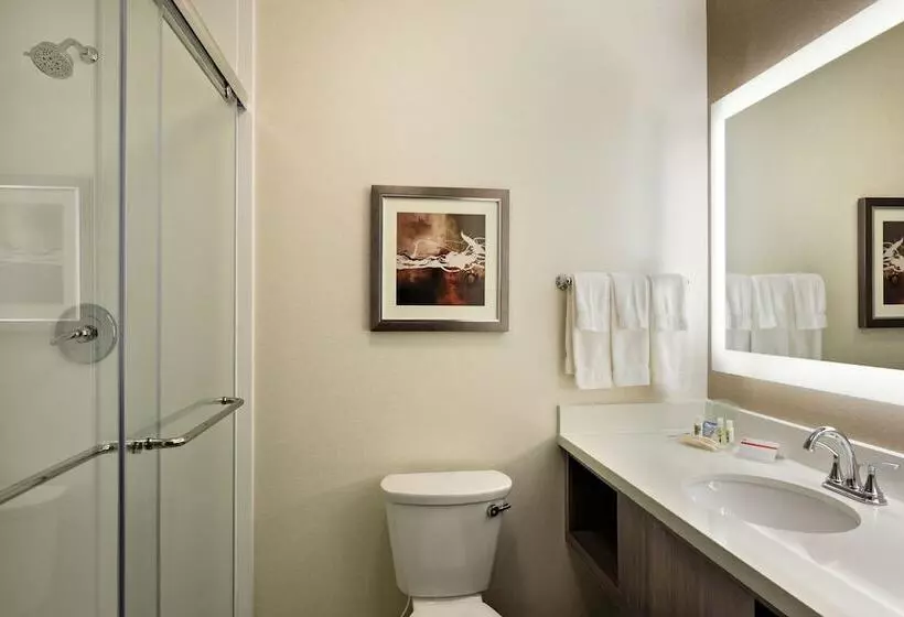 سوئیت برای معلولان, Holiday Inn St. George Convention Center, An Ihg