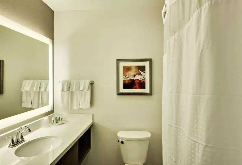 اتاق استاندارد, Holiday Inn St. George Convention Center, An Ihg
