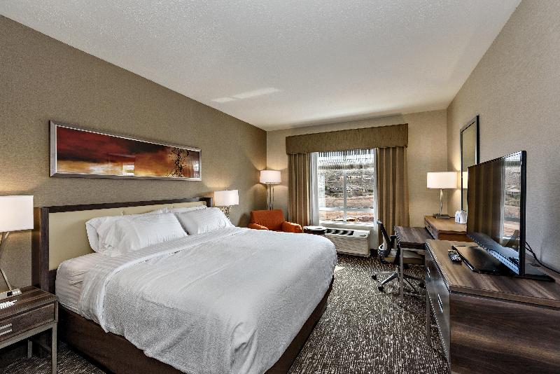 جناح لذوى الاحتياجات الخاصة, Holiday Inn St. George Convention Center, An Ihg