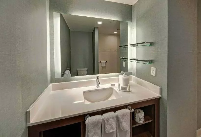 Deluxe-studio, Residence Inn By Marriott Kansas City Downtown/convention Center