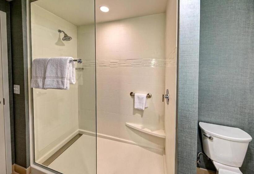 إستوديو قياسى سرير كينج, Residence Inn By Marriott Kansas City Downtown/convention Center