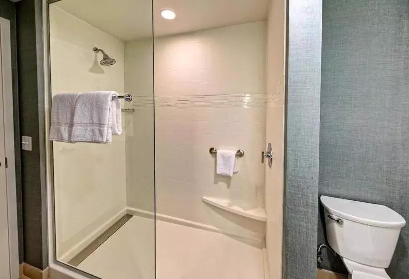 Standard-studio King-vuode, Residence Inn By Marriott Kansas City Downtown/convention Center