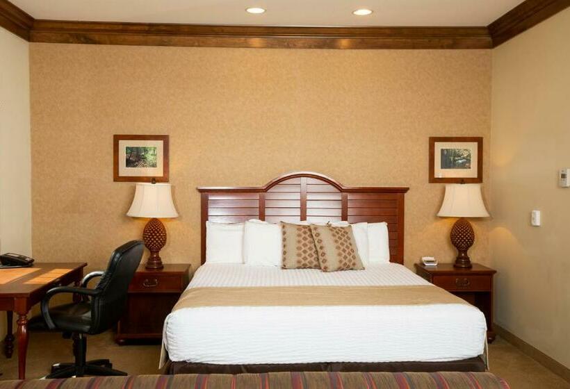 디럭스 스위트 킹 침대, Rockwell Lake Lodge