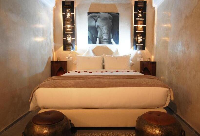 سوییت جونیور, Riad Kalaa 2