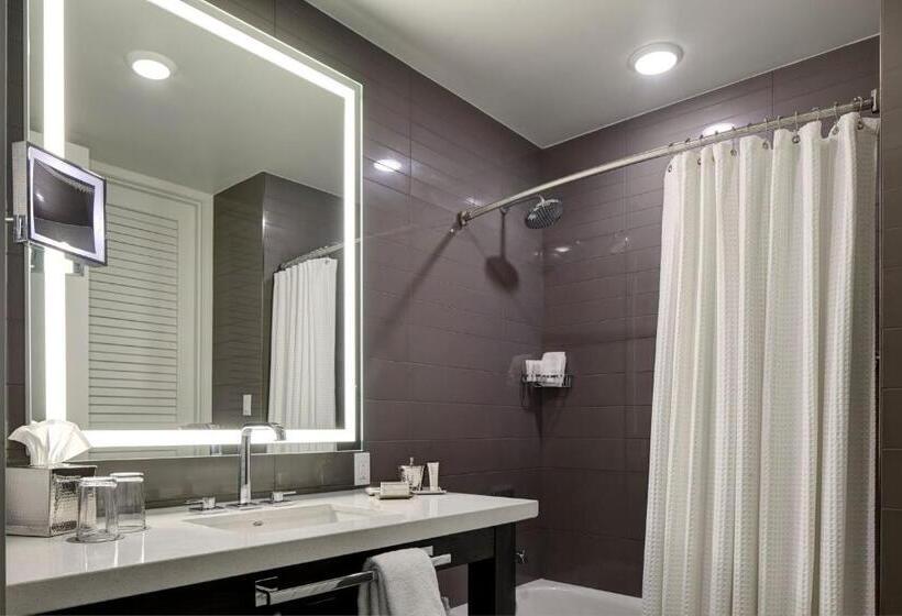 غرفة قياسية لذوى الاحتياجات الخاصة, Archer Hotel Austin