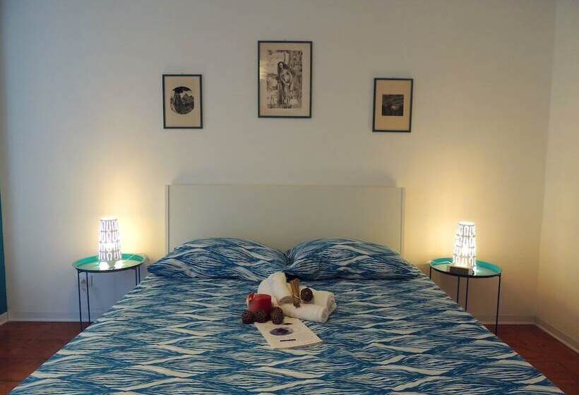 高级三人间, In Itinera