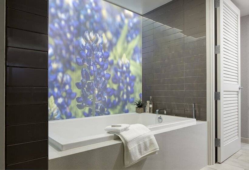 جناح مزوَّد بشرفة, Archer Hotel Austin