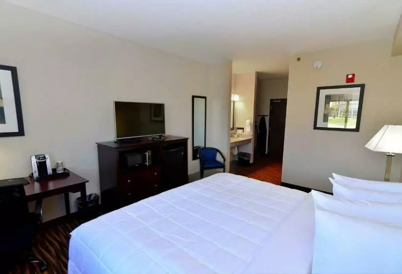 身障者適用キングサイズベッドルーム, Cobblestone Inn & Suites  Monticello