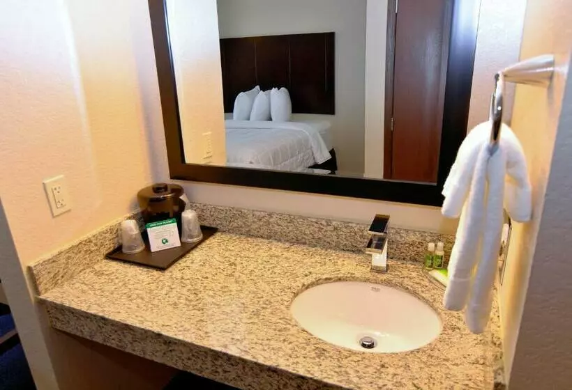 スタンダードルーム, Cobblestone Inn & Suites  Monticello