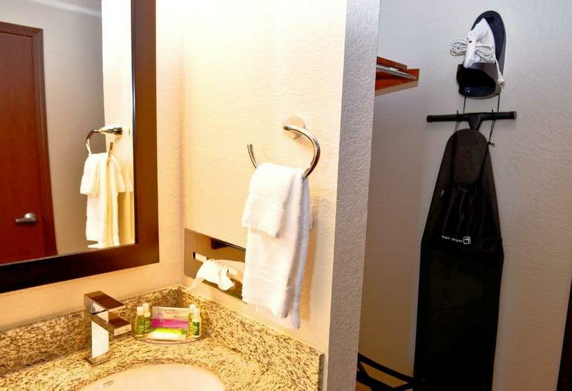 스탠다드 룸 킹사이즈 침대, Cobblestone Inn & Suites Monticello