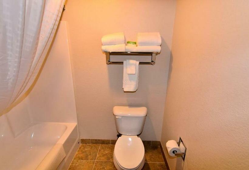 스탠다드 룸 킹사이즈 침대, Cobblestone Inn & Suites Monticello