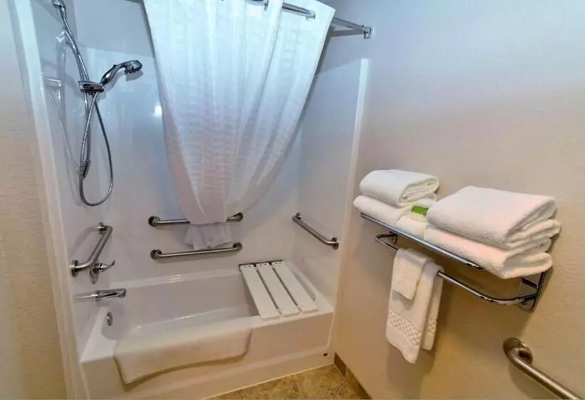 身障者適用キングサイズベッドルーム, Cobblestone Inn & Suites  Monticello
