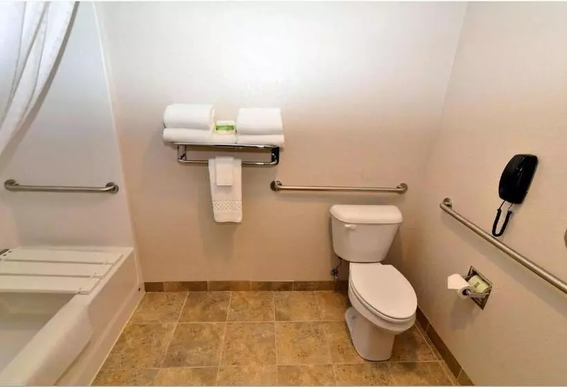 身障者適用キングサイズベッドルーム, Cobblestone Inn & Suites  Monticello