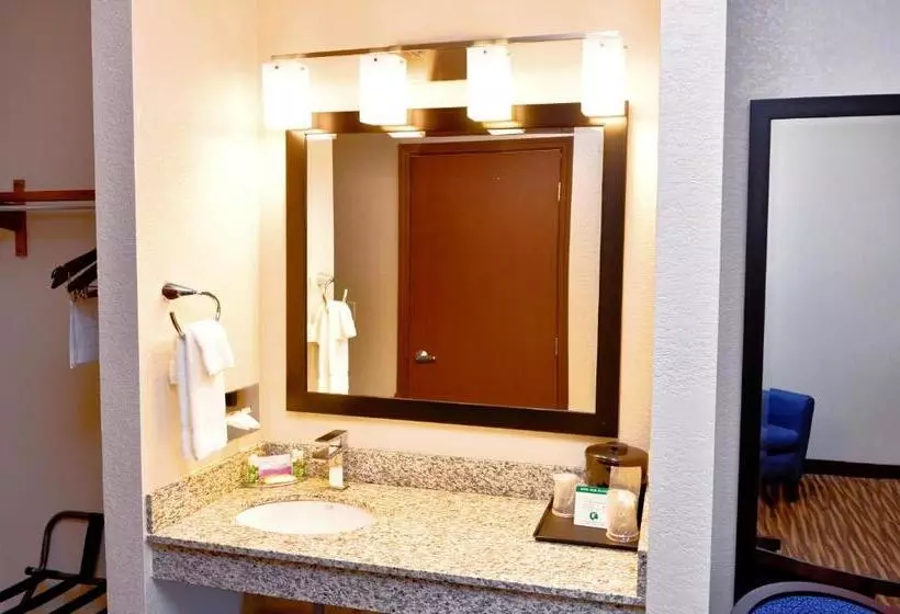 身障者適用キングサイズベッドルーム, Cobblestone Inn & Suites  Monticello