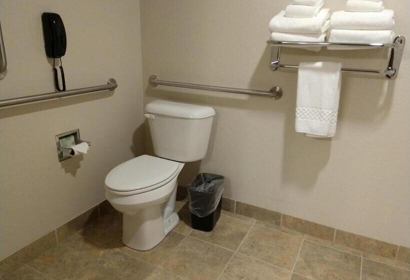 Номер Стандарт, Cobblestone Inn & Suites  Monticello