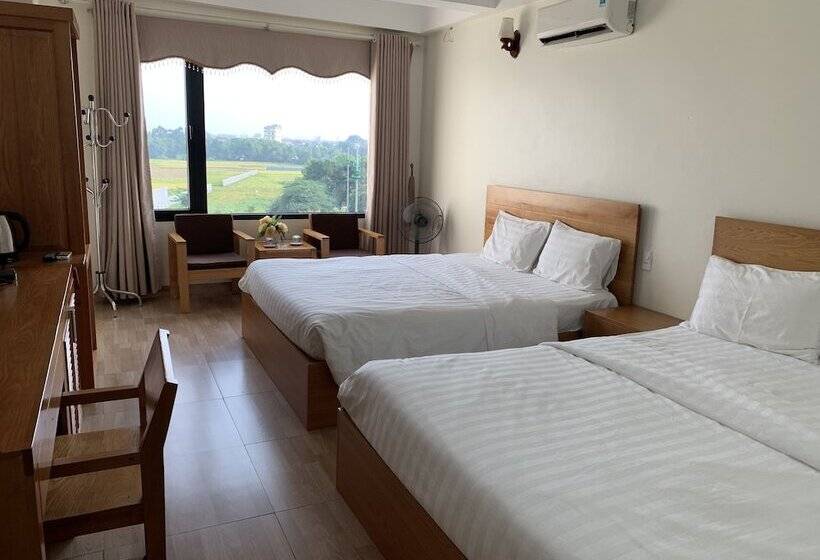 اتاق خانوادگی, Dragon Airport